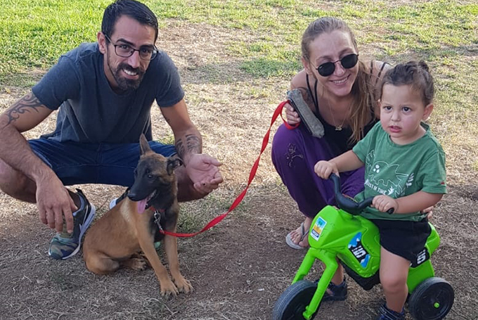 עפולה: 11 כלבים מצאו בית חם בפסטיבל כלבים ראשון מסוגו 